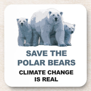 Save the Polar Bears Coaster