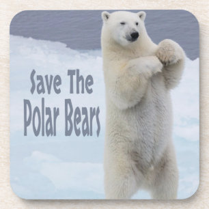 Save The Polar Bears Coaster