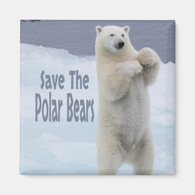 Save The Polar Bears Magnet (Front)