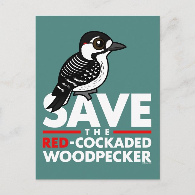 Save the Red-cockaded Woodpecker Postcard (Front)