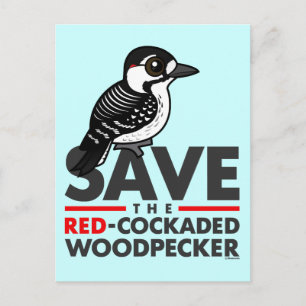 Save the Red-cockaded Woodpecker Postcard