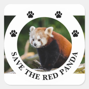 Save the Red Panda Wildlife Square Sticker