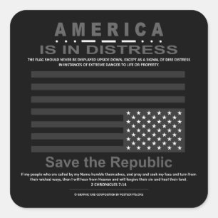 Save the Republic sticker