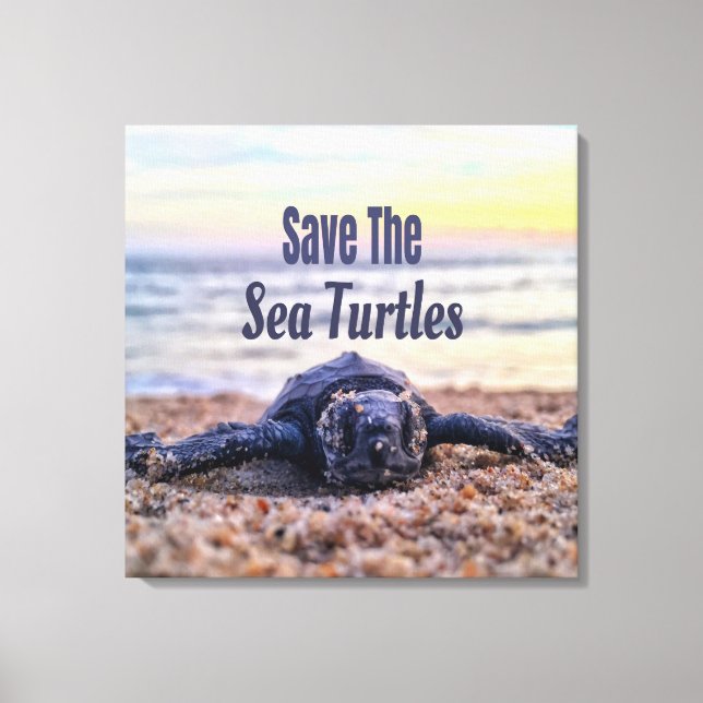 Save The Sea Turtles Canvas Print (Front)