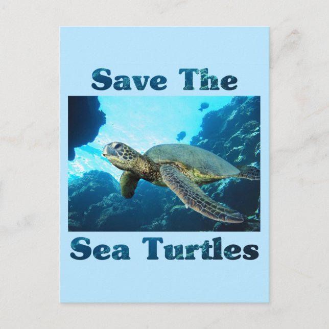 Save the Sea Turtles Postcard (Front)