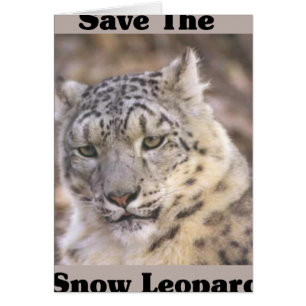 Save the Snow Leopard