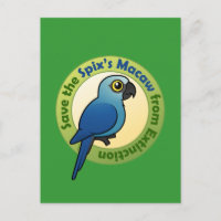 Save the Spix's Macaw from Extinction
