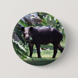 save the Tapir 6 Cm Round Badge