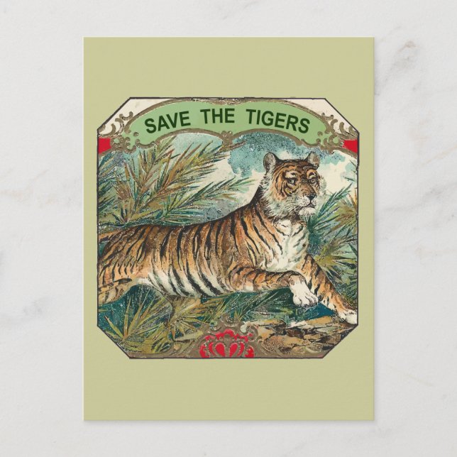 Save The Tigers Postcard (Front)