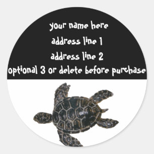 Save the Turtles Address Labels