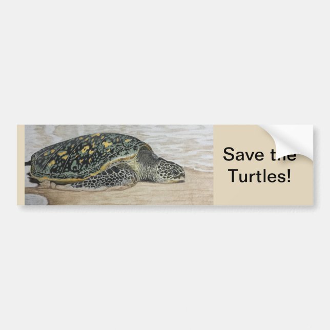 Save the Turtles! Hand drawn design Bumper Sticker (Front)