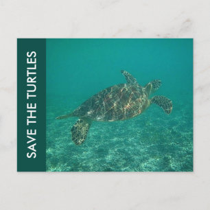 save the turtles postcard