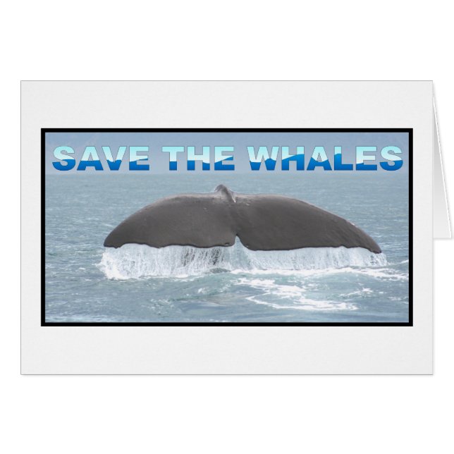 Save the Whales (Front Horizontal)