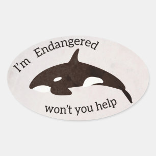 Save the Whales Oval Sticker