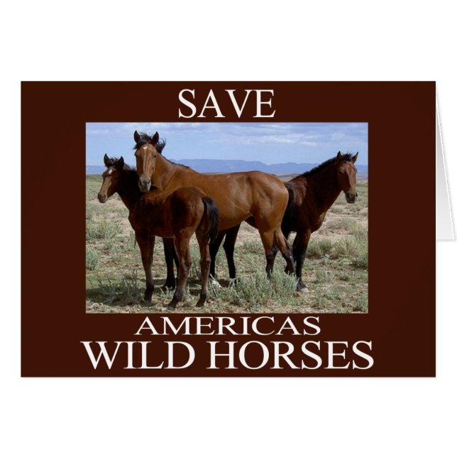 Save the Wild Horses (Front Horizontal)
