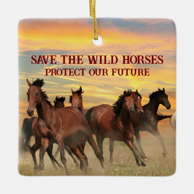 Save The Wild Horses Ceramic Ornament (Front)