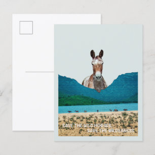 Save the Wild Horses, Save the Wilderness Postcard