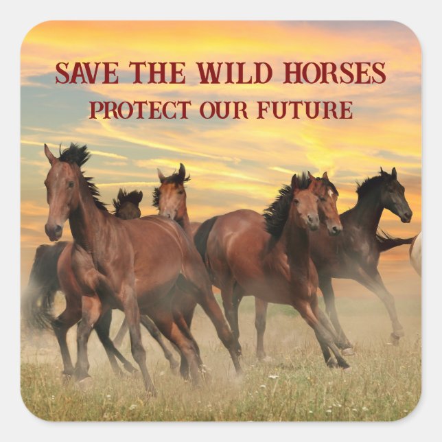 Save The Wild Horses Square Sticker (Front)