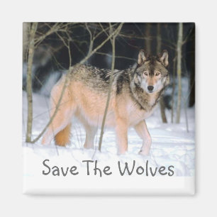 SAVE THE WOLVES MAGNET