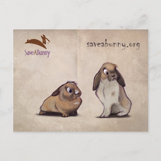 SaveABunny Postcard (Front)