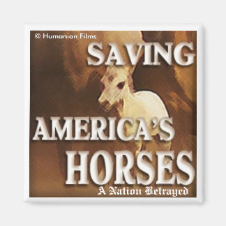 Saving America's Horses- Magnet