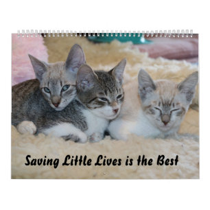SAVING LITTLE LIVES IS THE BEST  CALENDAR