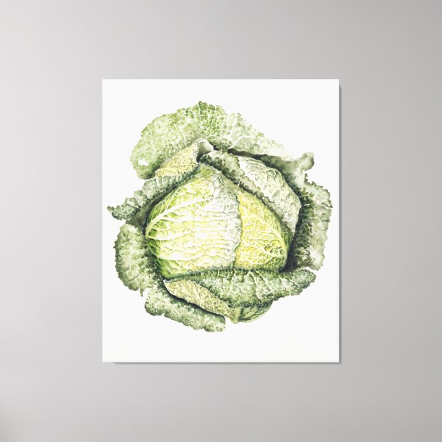 Savoy Cabbage Canvas Print (Front)