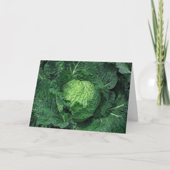 Savoy Cabbage Card (Front)