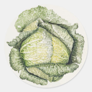 Savoy Cabbage Classic Round Sticker