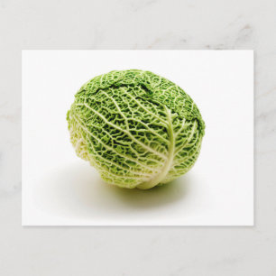 Savoy cabbage postcard