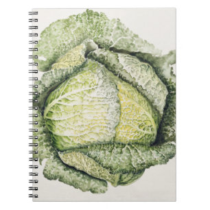 Savoy Cabbage Spiral Notebook