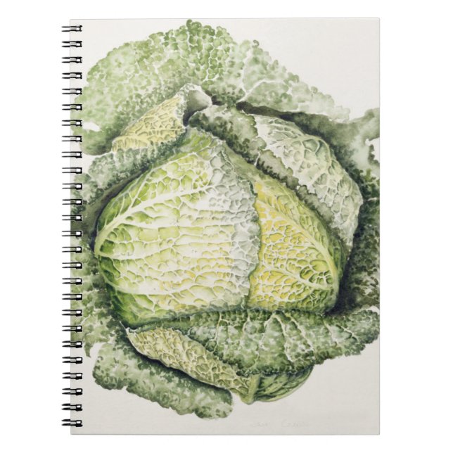 Savoy Cabbage Spiral Notebook (Front)