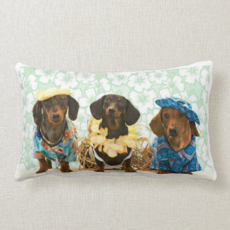 Savvy Dachshunds Lumbar Cushion