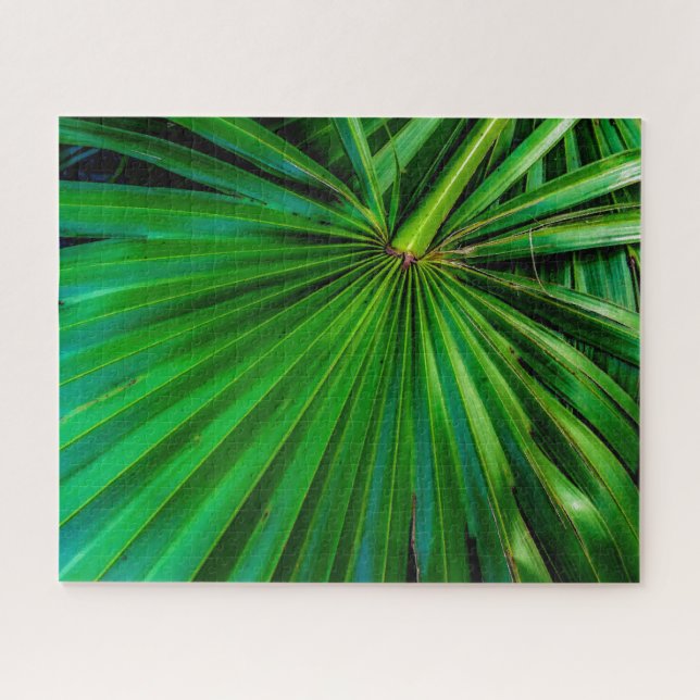 Saw Palmetto Fan Puzzle (Horizontal)