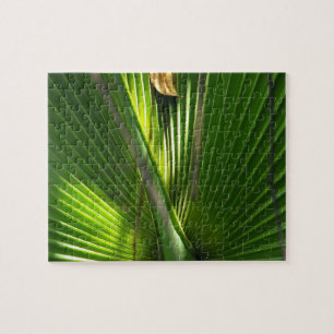 Saw Palmetto Photo Closeup Jigsaw Puzzle