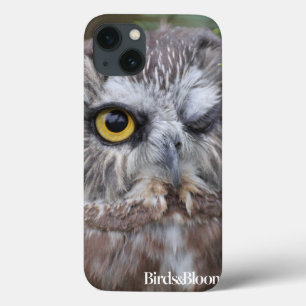 Saw-whet Owl iPhone 13 Case