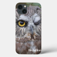 Saw-whet Owl