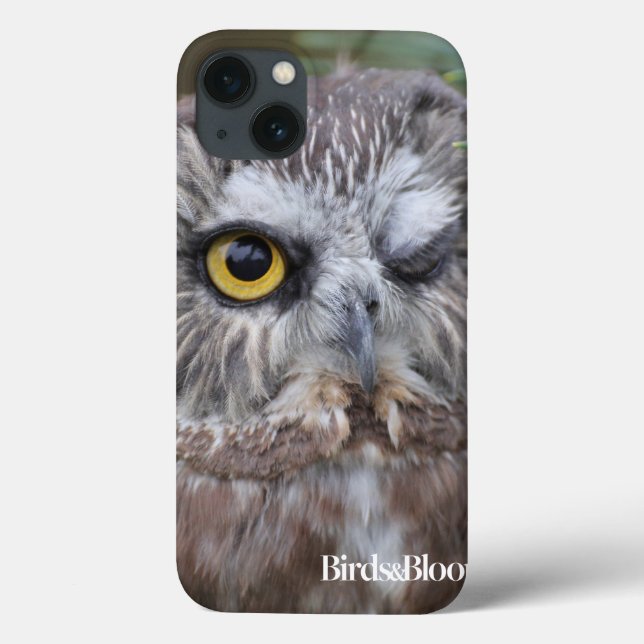 Saw-whet Owl Case-Mate iPhone Case (Back)