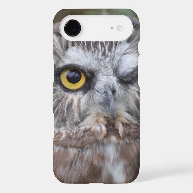 Saw-whet Owl Case-Mate Samsung Galaxy Case (Back)