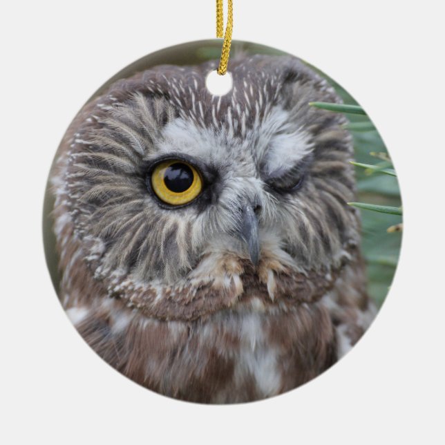 Saw-whet Owl Ceramic Tree Decoration (Front)