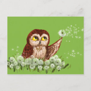 Saw-whet owl dandelion postcard