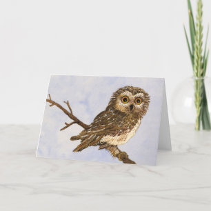 Saw-Whet Owl Greeting Card
