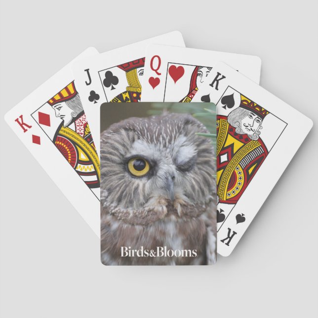 Saw-whet Owl Playing Cards (Back)
