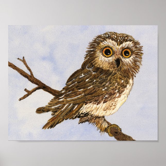 Saw-Whet Owl Poster (Front)