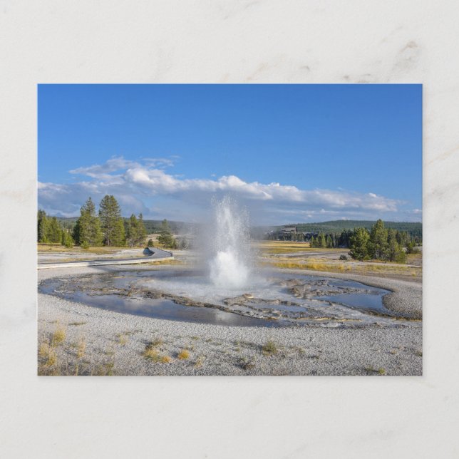 Sawmill Geyser, Yellowstone National Park Postcard (Front)