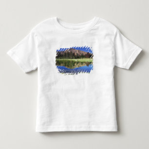 Sawtooth Mountains reflected in Fourth of July Toddler T-Shirt