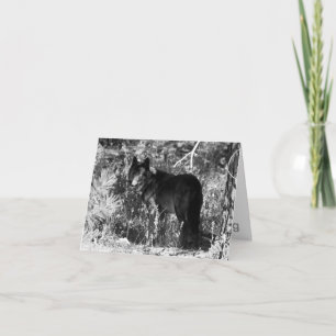 Sawtooth Pack Note Card