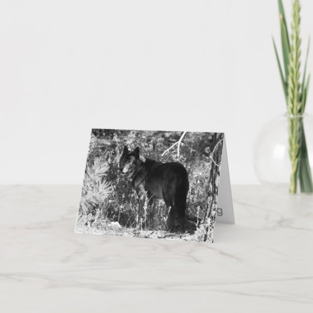 Sawtooth Pack Note Card (Front)