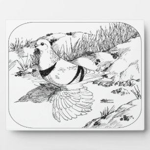 Saxon Crescent Pigeon 1973 Plaque