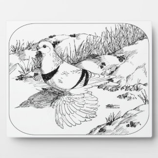 Saxon Crescent Pigeon 1973 Plaque